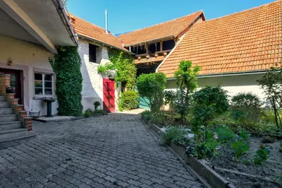 Ein Garten an der Unterkunft FeWo Römerweg