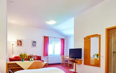TV/Unterhaltungsangebot in der Unterkunft Gästezimmer Weingut Dr Oberhofer