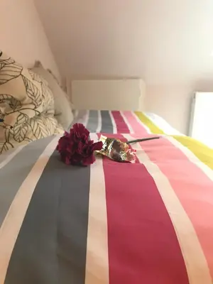 Ein Bett oder Betten in einem Zimmer der Unterkunft Lichtterrasse Sonnige Ruhe im Musikerviertel