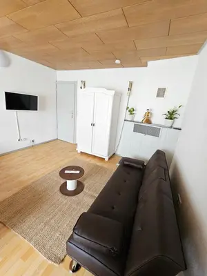 TV/Unterhaltungsangebot in der Unterkunft House Tinz - Cozy cottage in a quiet location