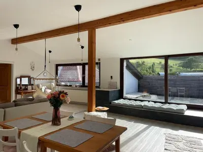 TV/Unterhaltungsangebot in der Unterkunft Dachwohnung mit Blick auf den Wagenberg