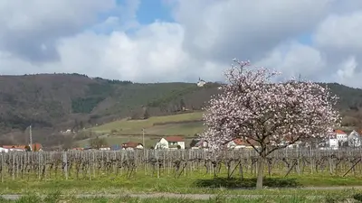 Naturlandschaft in der Nähe der Ferienwohnung