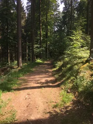 Naturlandschaft in der Nähe des Hotels