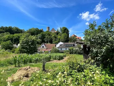 Naturlandschaft in der Nähe der Ferienwohnung