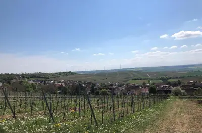 Naturlandschaft in der Nähe der Ferienwohnung