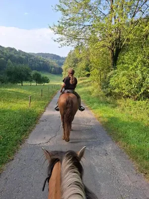 Tiere in der Ferienwohnung oder in der Nähe