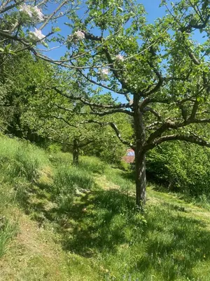 Naturlandschaft in der Nähe des Ferienhauses
