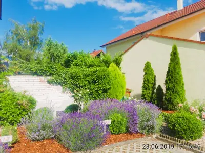Ein Garten an der Unterkunft sweet home