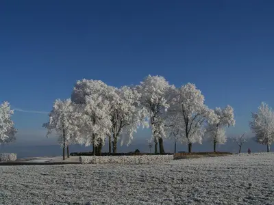 Ferienwohnung Schanbacher im Winter