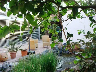 Ein Garten an der Unterkunft Klaschter Gastewohnung