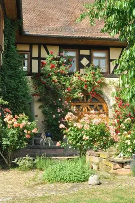 Ein Garten an der Unterkunft Gästezimmer - Fuhrhalterei Maul