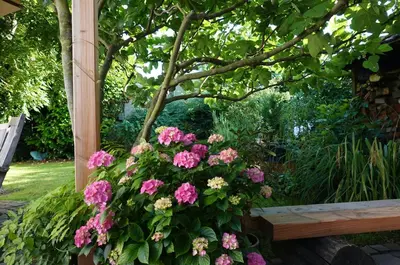 Ein Garten an der Unterkunft Ferienwohnung Guddat