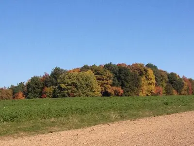 Naturlandschaft in der Nähe der Ferienwohnung