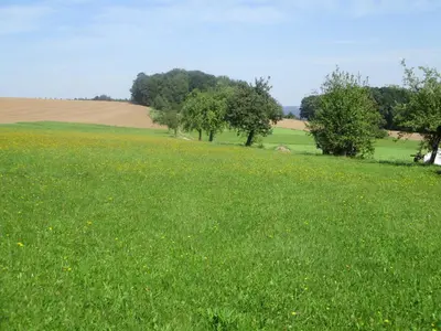 Naturlandschaft in der Nähe der Ferienwohnung