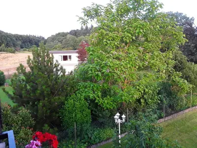 Ein Garten an der Unterkunft Ferienwohnung Sylvia