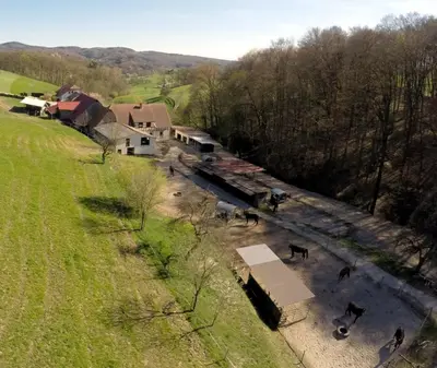 Naturlandschaft in der Nähe des Bauernhofs