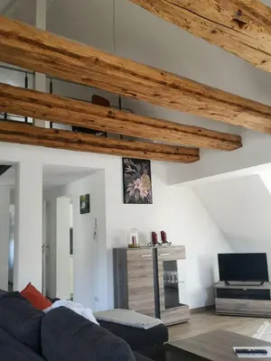 TV/Unterhaltungsangebot in der Unterkunft Alte Fachwerkresidenz