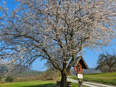 Naturlandschaft in der Nähe der Ferienwohnung