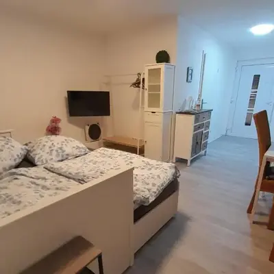 Apartment am Palmenhaus
