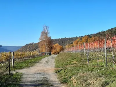 Naturlandschaft in der Nähe der Ferienwohnung