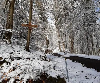 Bella Marthas im Winter