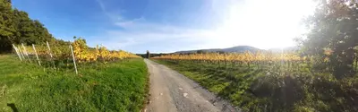 Naturlandschaft in der Nähe der Ferienwohnung