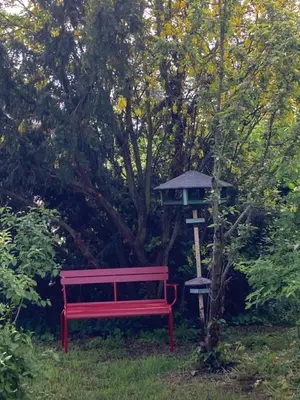 Ein Garten an der Unterkunft Ferienwohnung am Park