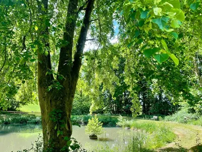 Naturlandschaft in der Nähe der Ferienwohnung