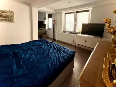 TV/Unterhaltungsangebot in der Unterkunft Apartment in Heidelberg's Altstadt - City Tax inklusive