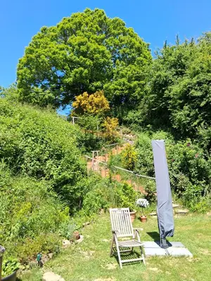 Ein Garten an der Unterkunft Südpfalznest