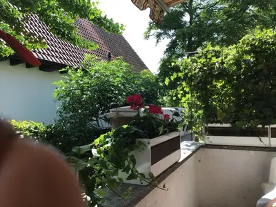 Ein Garten an der Unterkunft Ferienwohnung Laudenbach