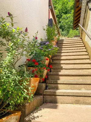 Ein Garten an der Unterkunft Wanderglück - Naturnah zum Wohlfühlen & Wandern