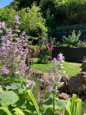 Ein Garten an der Unterkunft Ferienwohnung mit Weitblick