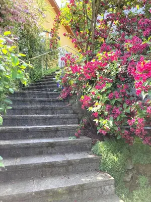 Ein Garten an der Unterkunft Ferienwohnung mit Weitblick