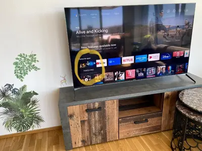 TV/Unterhaltungsangebot in der Unterkunft InterAssist 15