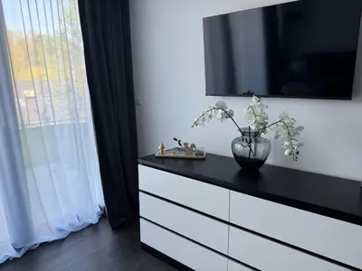 TV/Unterhaltungsangebot in der Unterkunft Karlsruhe Finest Apartment 2