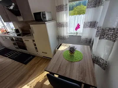 Küche/Küchenzeile in der Unterkunft Ferienwohnung zum Finkenbachtal