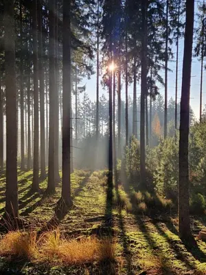 Naturlandschaft in der Nähe der Ferienwohnung