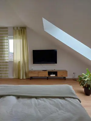 TV/Unterhaltungsangebot in der Unterkunft Apartment Senfnest