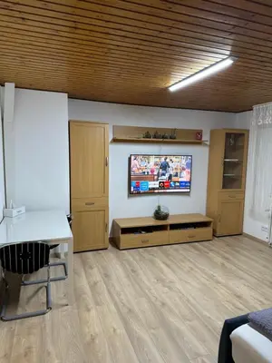 TV/Unterhaltungsangebot in der Unterkunft One room apartment in a quiet Location air conditioning
