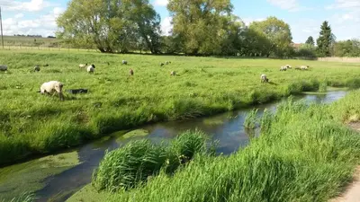 Naturlandschaft in der Nähe der Ferienwohnung