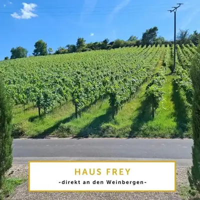 WEINBERGBLICK Wohnung im Haus FREY - 2BR