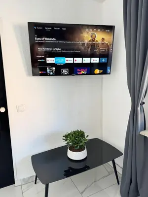 TV/Unterhaltungsangebot in der Unterkunft 2 Zimmer Apartment mit Sauna