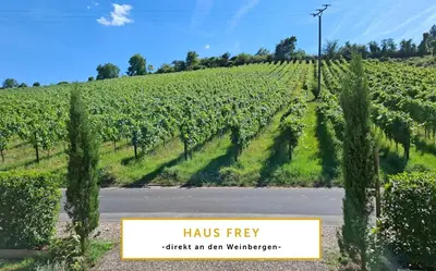 Ein Garten an der Unterkunft Villa Auszeit Wohnung im Haus Frey - Weindorf, 1 BR bis 3 Personen
