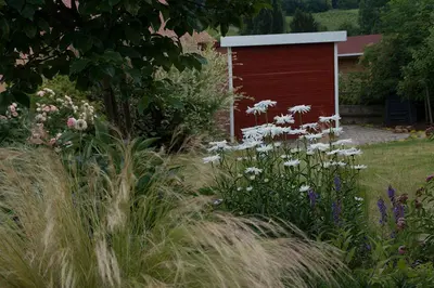 Ein Garten an der Unterkunft Ferienwohnung Viabella