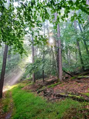 Naturlandschaft in der Nähe der Ferienwohnung