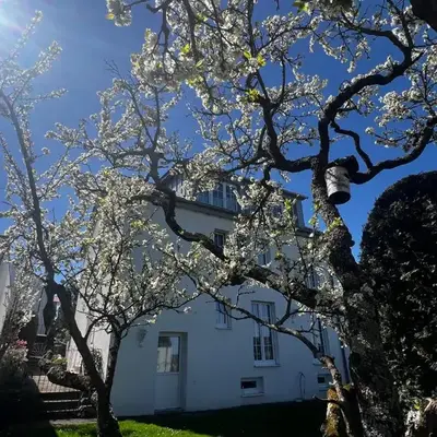 Gemütlich wohnen über Besigheim