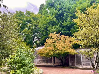 Ein Garten an der Unterkunft -Am Pfühlpark- Ferienwohnung