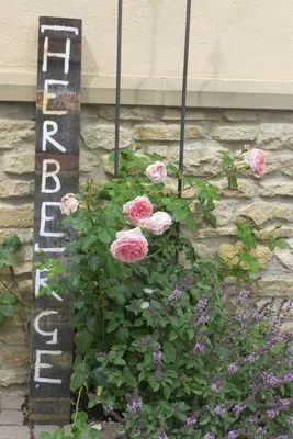 Grundriss der Unterkunft Herberge Rheinhessen