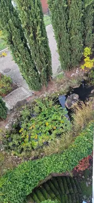Ein Garten an der Unterkunft Studio auszeit in Speyer